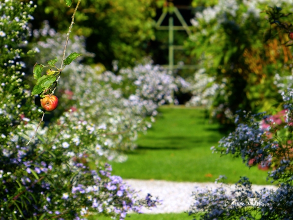 Eté indien au Bois des Moutiers 11